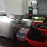 Presa ulei la rece - 0.4Kw 220V inox